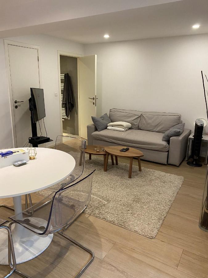 Amazing Flat In Front Of Bois De La Cambre Lejlighed *