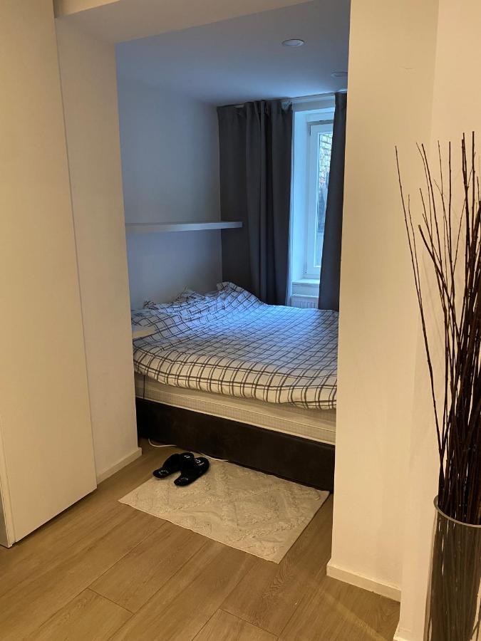 Amazing Flat In Front Of Bois De La Cambre *